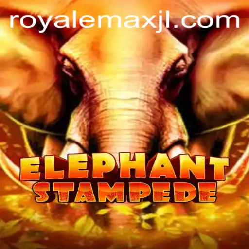 Exploring the Stampede: ElephantStampede and the Royale Max Challenge